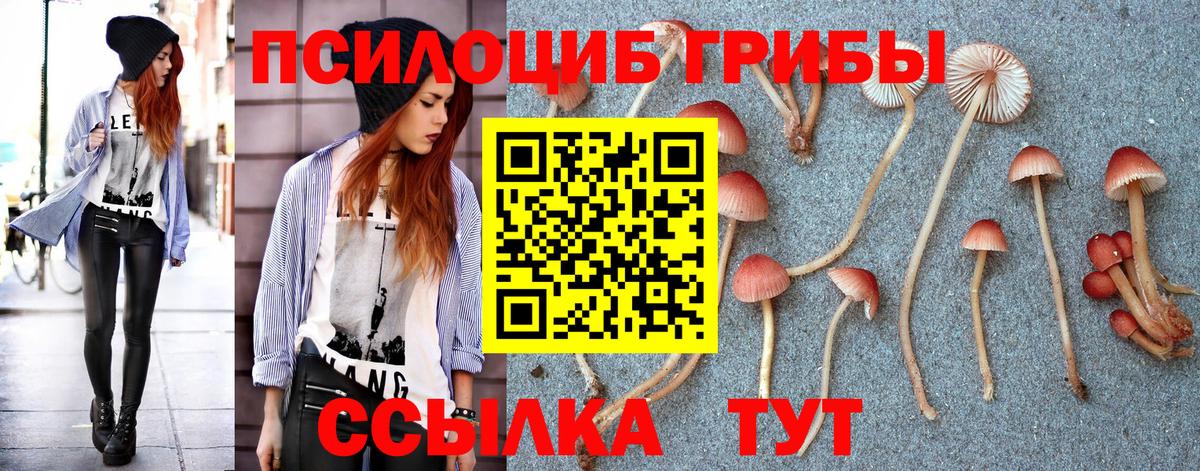Псилоцибиновые грибы GOLDEN TEACHER  купить наркотики цена  Галлюциногенные грибы MAGIC MUSHROOMS  Рассказово  Вход с VPN 
