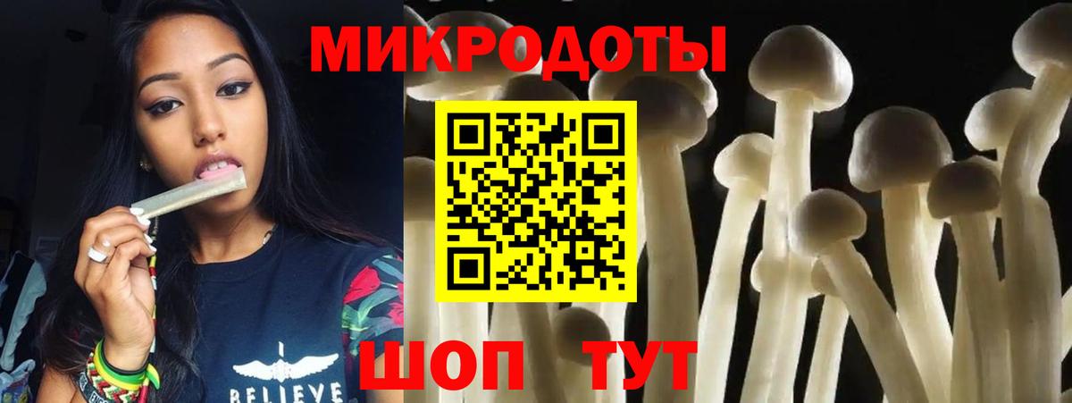 Галлюциногенные грибы Psilocybe Рассказово